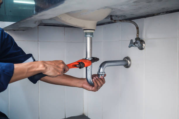Best Plumbing Inspection Services  in Lake Arrowhead, CA
